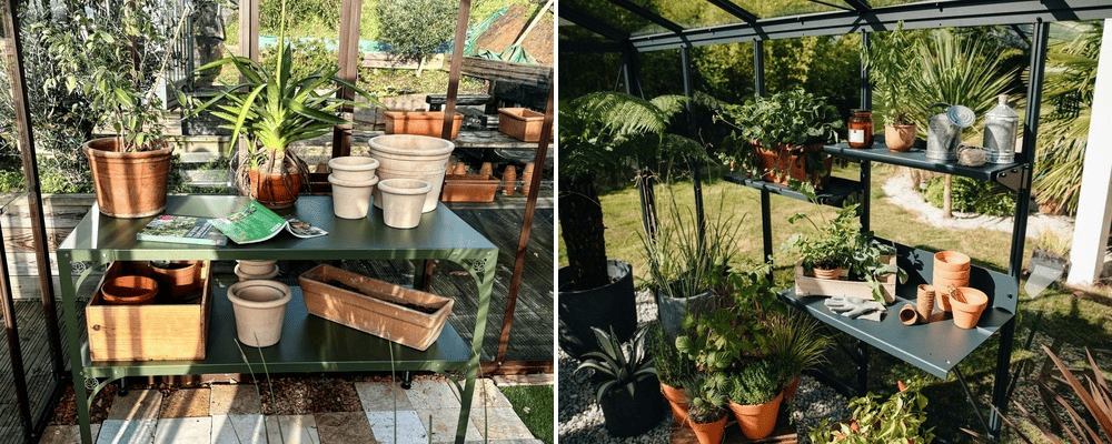 Tables et étagères aménagées dans une serre de jardin LAMS
